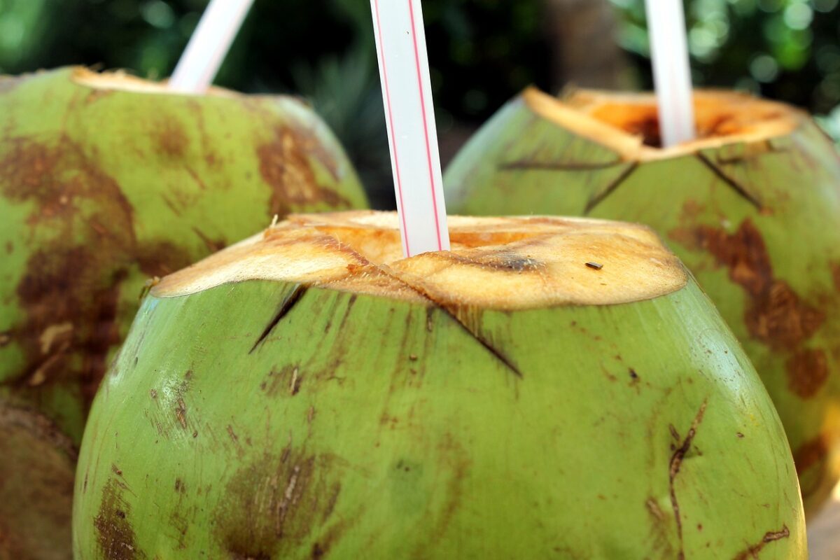 Com reclamações devido a alta nos preços, coco verde é encontrado por até R$ 9 nas praias de João Pessoa coco, coco verde