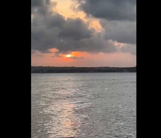 VÍDEO: Golfinhos são vistos no pôr do sol do Dique de Cabedelo Golfinhos são vistos no pôr do sol do Dique de Cabedelo