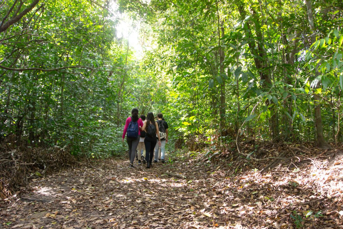 Férias: trilhas temáticas e imersão sensorial na natureza são opções educativas para adolescentes em João Pessoa Férias: trilhas temáticas e imersão sensorial na natureza são opções educativas para adolescentes em João Pessoa