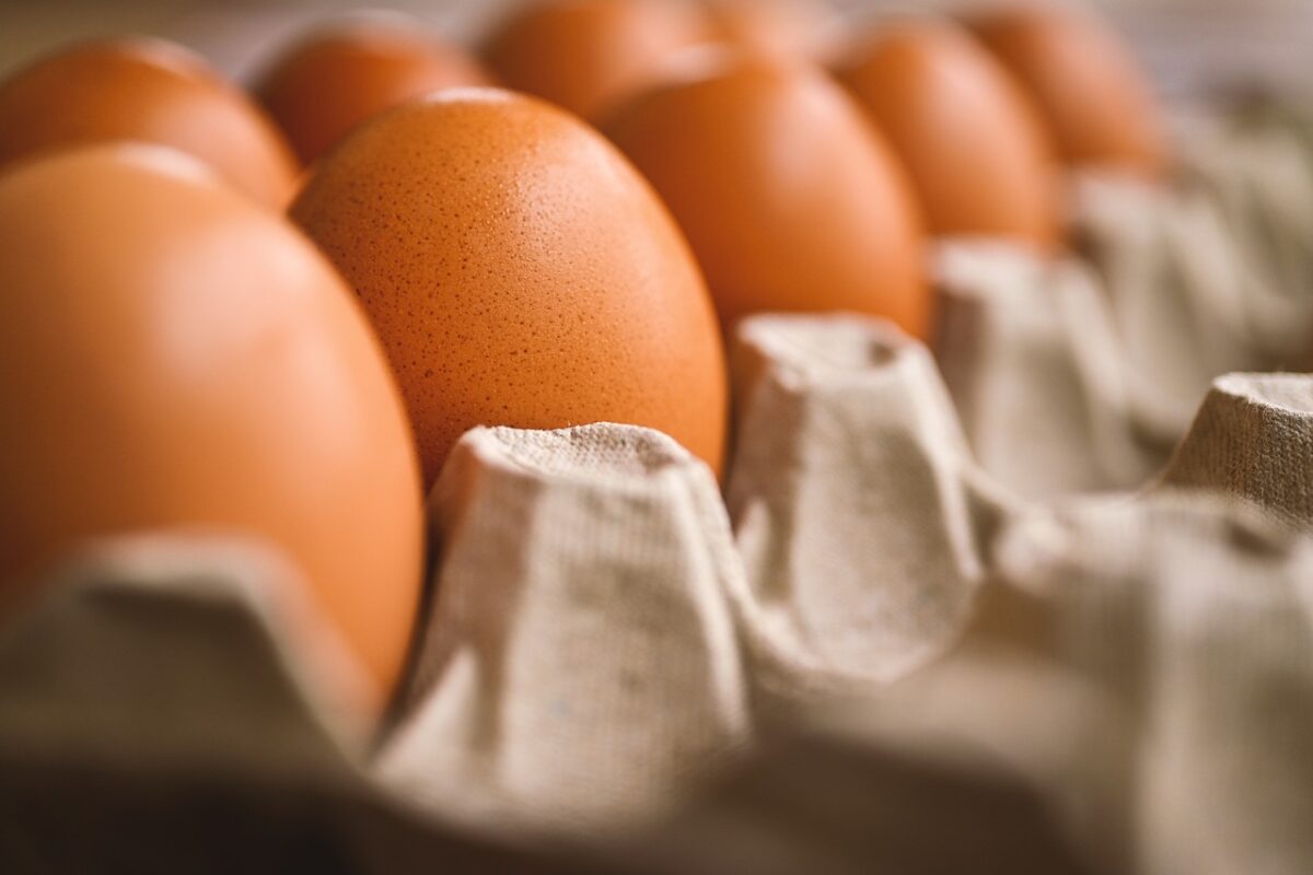 Preço da bandeja com 20 ovos chega a custar R$ 25,99 em supermercados de João Pessoa, aponta Procon Preço do ovo salta 40% no atacado