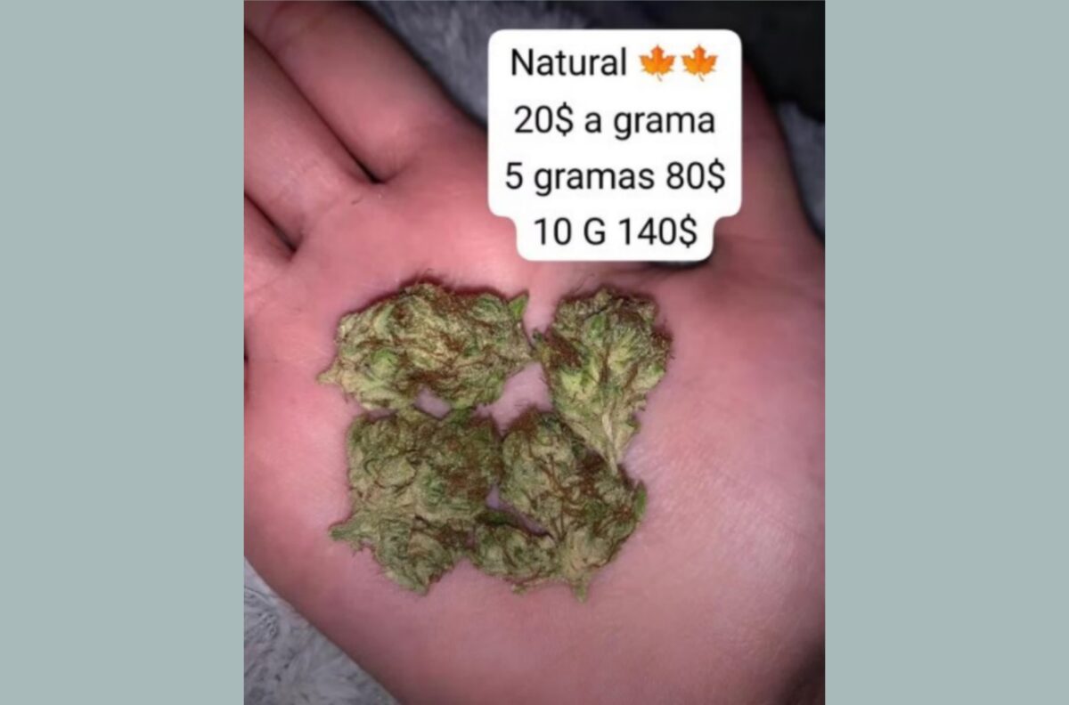 Pizzaiolo é preso por vender drogas pela internet e oferecer 'delivery' no Rio Grande do Norte Pizzaiolo é preso por vender drogas pela internet e oferecer 'delivery' no Rio Grande do Norte