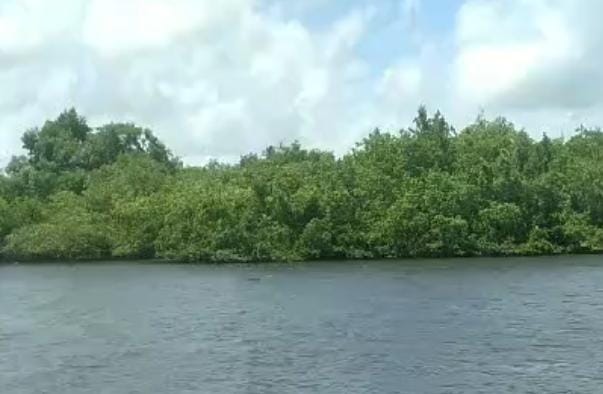 Corpo de jovem desaparecido é encontrado boiando às margens do rio Sanhauá, em Bayeux corpo, jovem, rio sanhauá