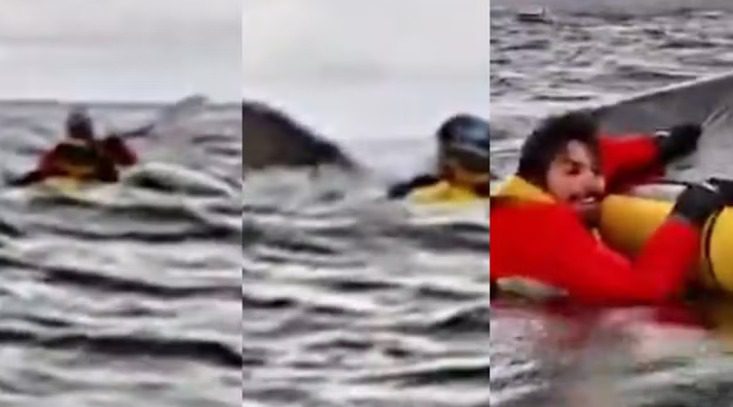 VÍDEO: jovem é 'abocanhado' por baleia jubarte e sobrevive VÍDEO: jovem é 'abocanhado' por baleia jubarte e sobrevive