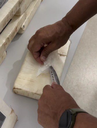 Polícia apreende carga de drogas avaliada em R$ 2.000.000 em Monteiro Polícia apreende carga de drogas avaliada em R$ 2.000.000 em Monteiro