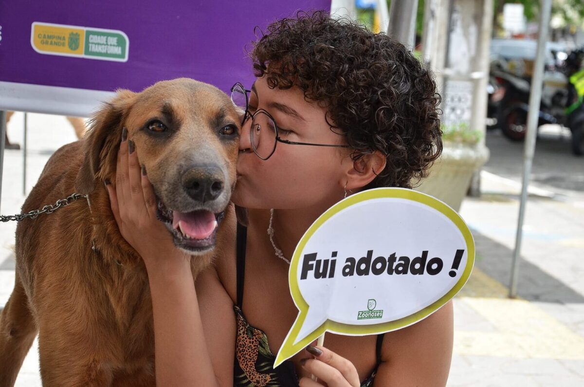 Prefeitura de Campina Grande realiza Dia D de Adoção nesta sexta-feira Centro de Controle de Zoonoses da Prefeitura realiza Dia D de Adoção