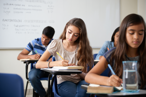 Esses concursos abrangem diversas áreas, como educação, administração, saúde e serviços gerais, com oportunidades para todos os níveis de escolaridade