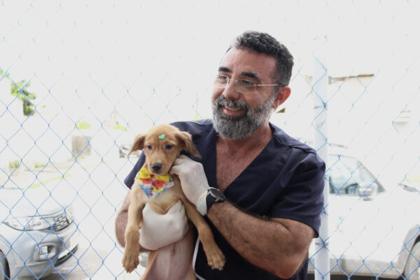 As feiras integram as metas do Paraíba Pet e busca aproximar os serviços da população mais vulnerável