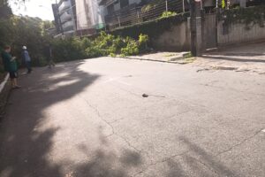 Árvore cai e bloqueia trânsito na Rua da Mata, no Cabo Branco árvore, queda, rua da mata