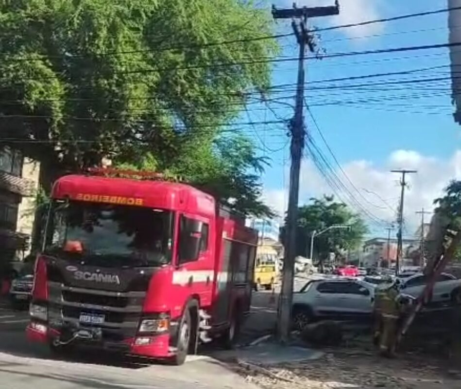 incêndio, parque da lagoa