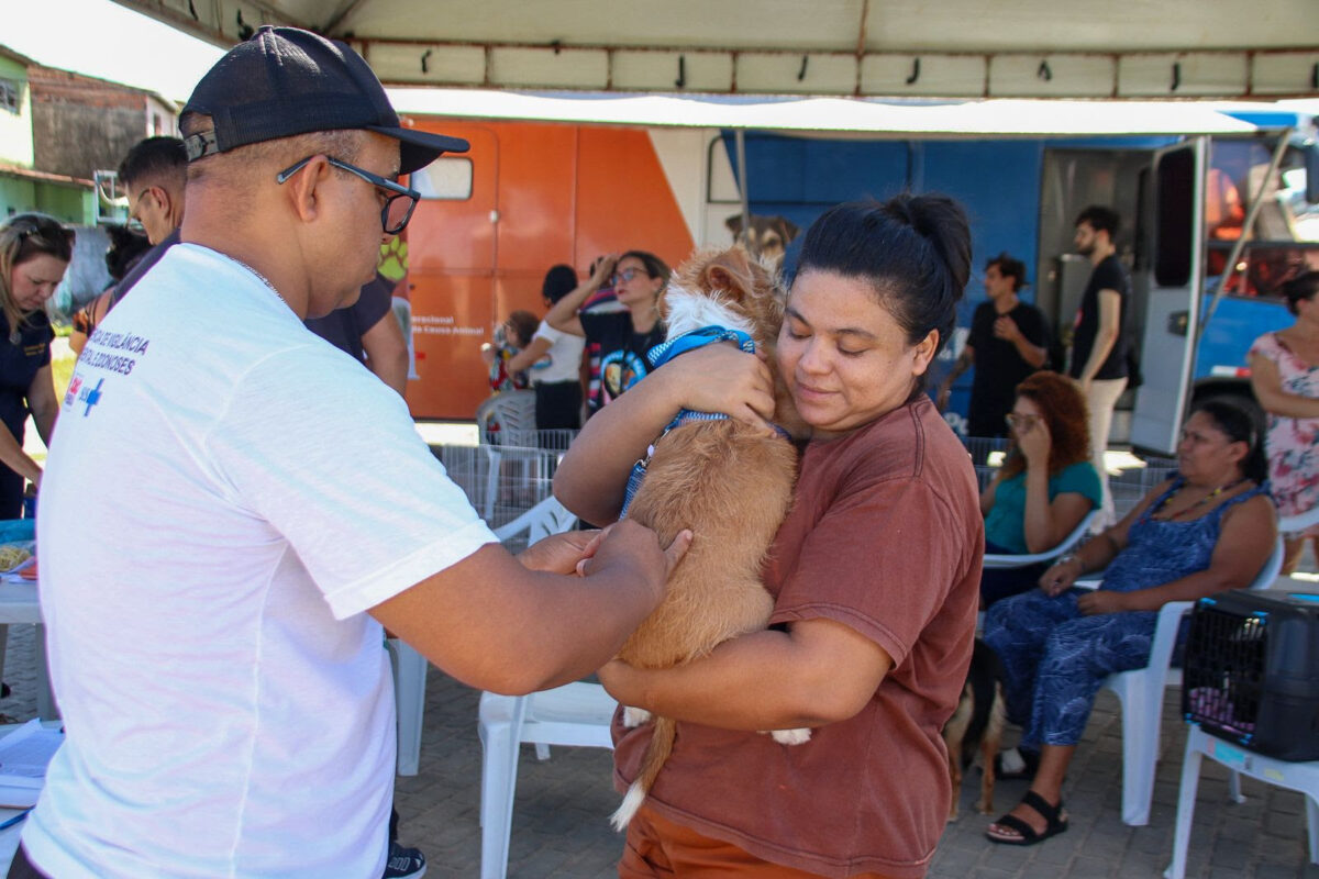 Governo da Paraíba realiza mutirão de adoções, castração e vacinação de pets em João Pessoa e Campina Grande Governo da Paraíba realiza mutirão de adoções, castração e vacinação de pets em João Pessoa e Campina Grande