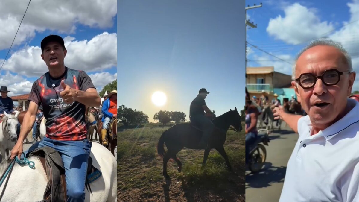 Virou trend: Políticos da Paraíba compartilham vídeos sobre cavalgada e cavalo vira bola da vez no marketing Virou trend: Políticos da Paraíba compartilham vídeos sobre cavalgada e cavalo vira bola da vez no marketing