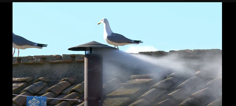 papa, fumaça branca, conclave, 2025