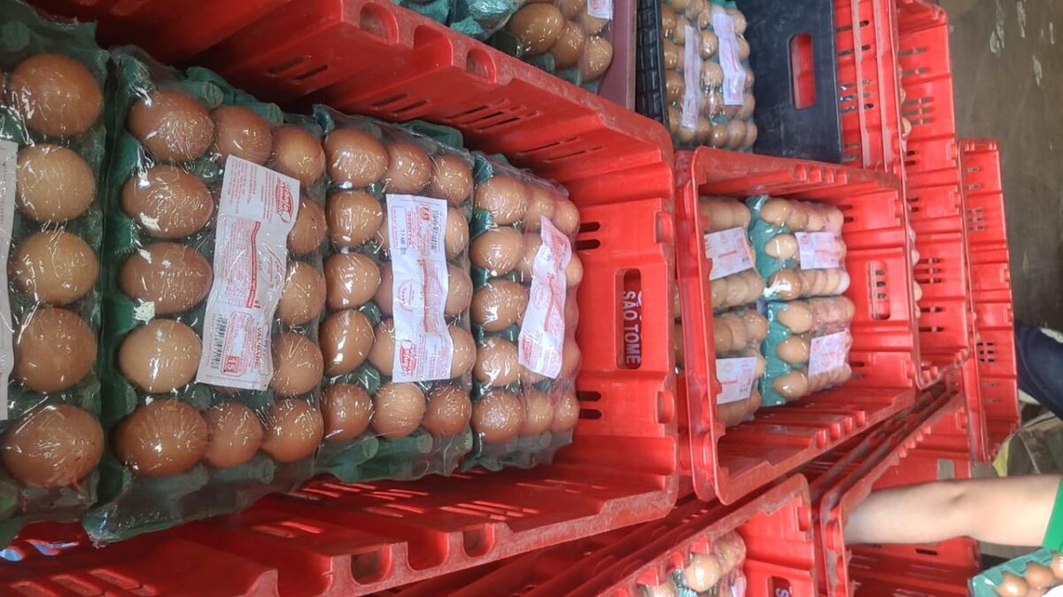 Comerciante é preso e mais de mil caixas de ovos com rótulos falsos são apreendidos durante operação em Campina Grande Suspeito é preso e mais de mil caixas de ovos com rótulos falsos são apreendidos durante operação em Campina Grande