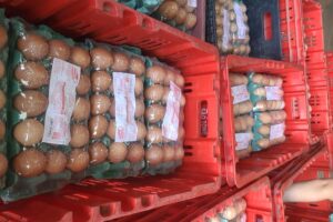 Comerciante é preso e mais de mil caixas de ovos com rótulos falsos são apreendidos durante operação em Campina Grande Suspeito é preso e mais de mil caixas de ovos com rótulos falsos são apreendidos durante operação em Campina Grande