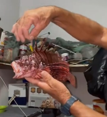Pescador de Baia da Traio pesca peixe-leo