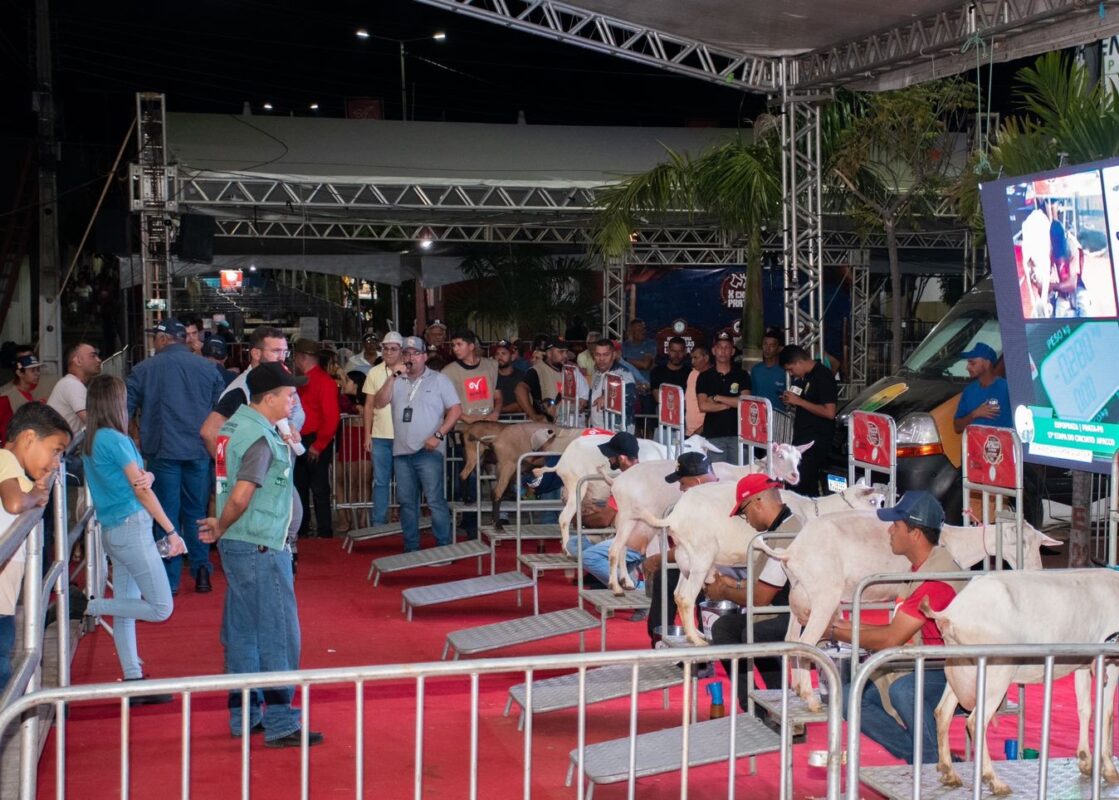 Prata, no Cariri da Paraíba, sedia competição nacional de cabra leiteira em agosto Prata, no Cariri da Paraíba, sedia competição nacional de cabra leiteira em agosto