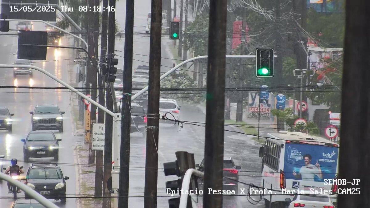 Caos no trânsito: após madrugada de chuvas, árvore cai na Avenida Epitácio Pessoa Caos no trânsito: após madrugada de chuvas, árvore cai na Avenida Epitácio Pessoa