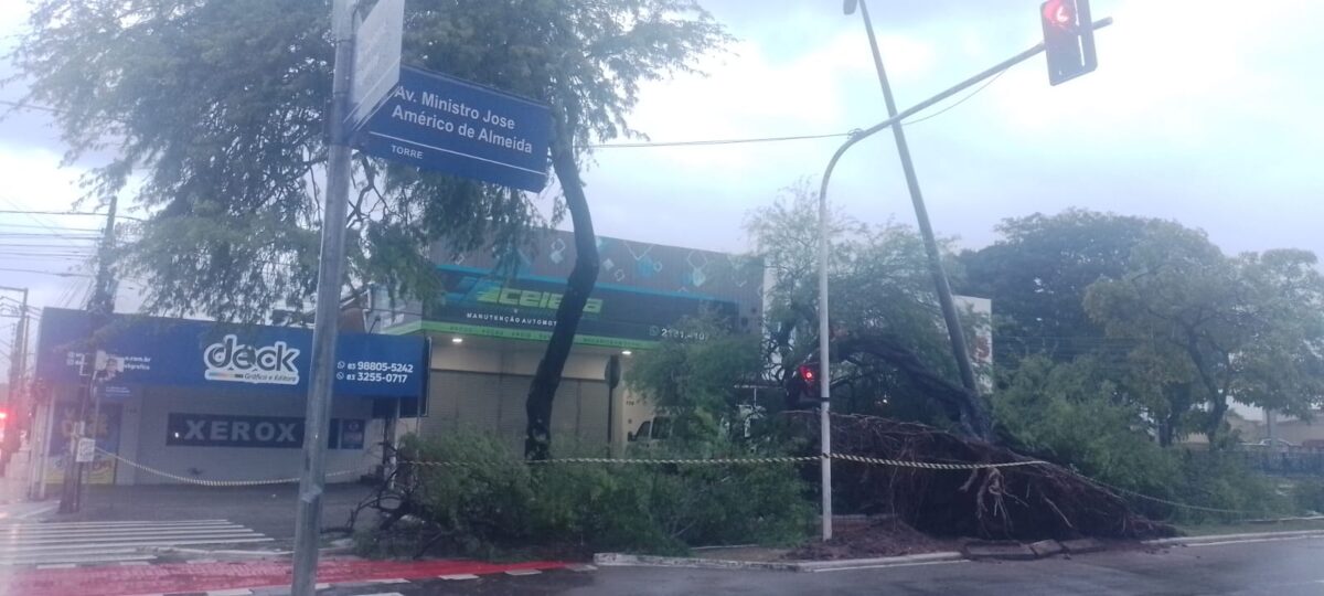 Árvore cai em ciclovia na Beira Rio durante chuvas em João Pessoa Árvore cai em ciclovia na Beira Rio durante chuvas em João Pessoa