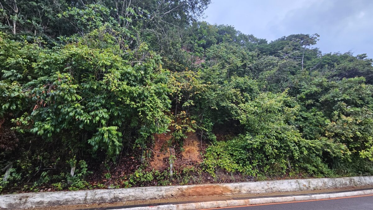 Trecho da barreira do Cabo Branco ontem (20), antes do desmoronamento.
