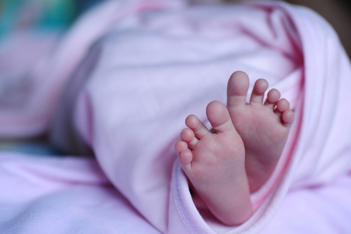 Projeto de lei em João Pessoa quer multa de R$ 15 mil para quem usar 'bebê reborn' para burlar atendimento preferencial bebê