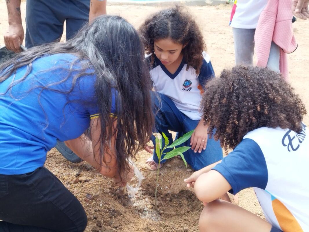 cuité, semana do meio ambiente