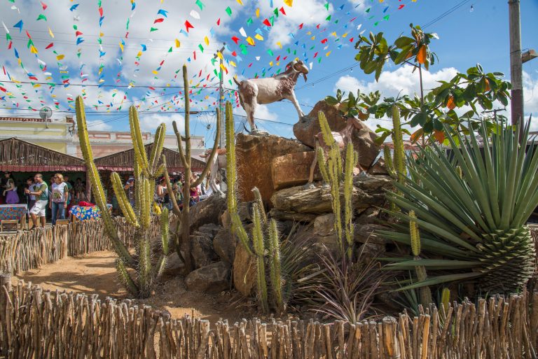Programação da 26ª Festa do Bode Rei começa hoje em Cabaceiras e espera receber 200 mil pessoas Programação da 26ª Festa do Bode Rei começa hoje em Cabaceiras e espera receber 200 mil pessoas