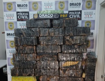 Polícia apreende uma tonelada de maconha na Paraíba; droga abasteceria festas de São João maconha (foto: divulgação/Draco)