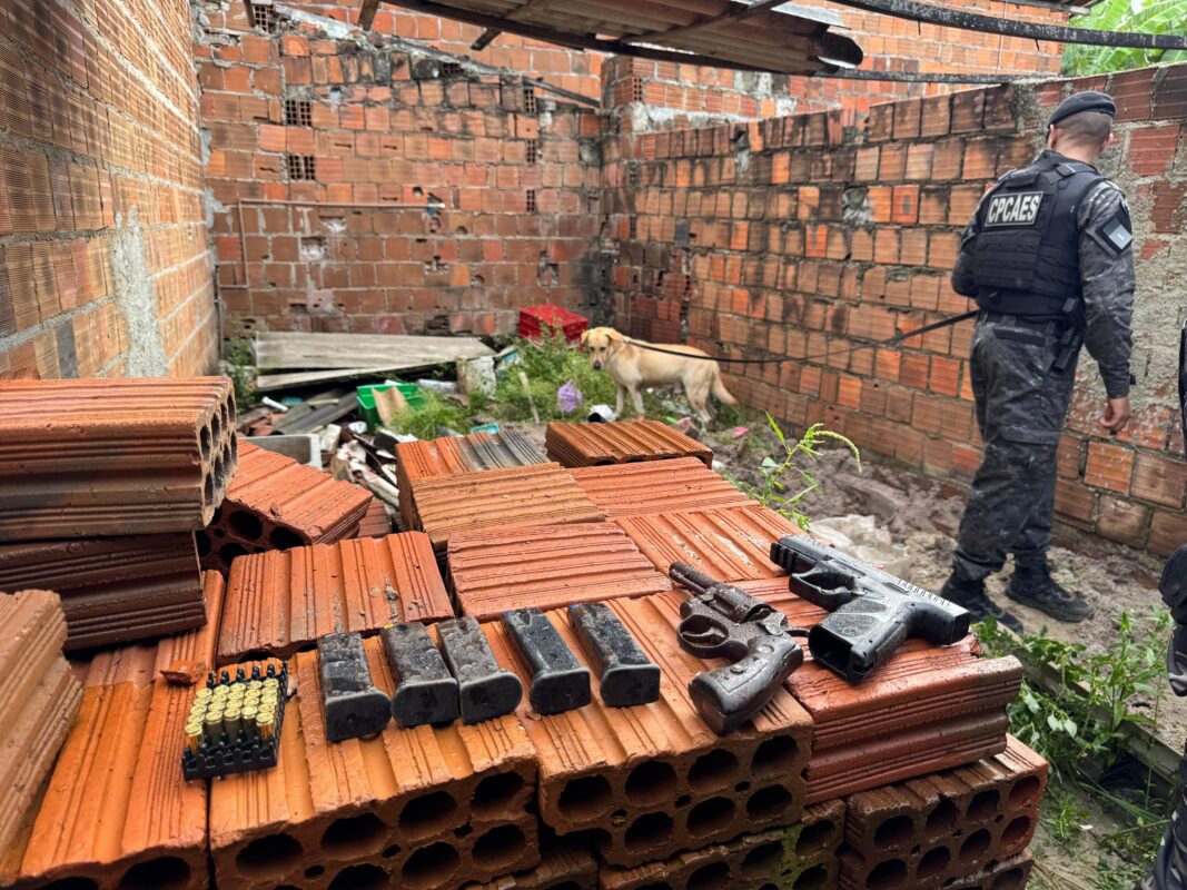Cachorro da Polícia Militar encontra armas de fogo enterradas por facção criminosa em João Pessoa Cachorro da Polícia Militar encontra armas de fogo enterradas por facção criminosa em João Pessoa