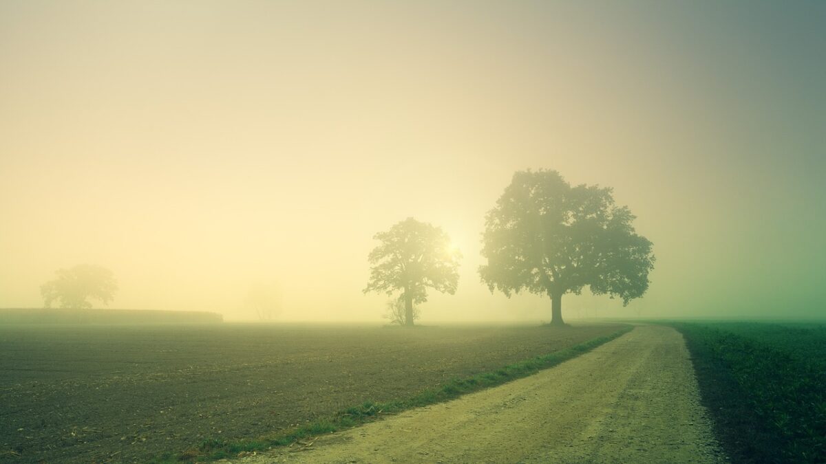 Inverno: temperaturas devem continuar caindo na Paraíba e podem chegar a 15°C em algumas cidades neblina, névoa, inverno