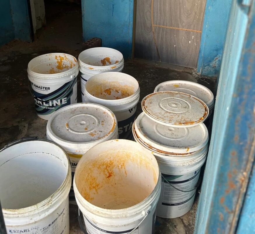Conselho de Medicina Veterinria autua canil de gua Branca aps encontrar quase 30 ces debilitados e cercados por fezes