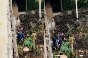 Homem apontado como assaltante de bancos fratura o pé ao tentar fugir da polícia e é preso em Campina Grande