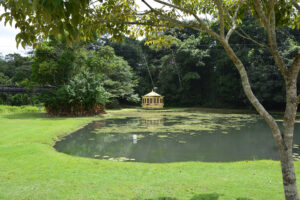 Jardim Botânico promove 4ª edição do Jardim Azul para crianças e adolescentes com autismo neste sábado Jardim Botânico promove 4ª edição do Jardim Azul neste sábado (12)