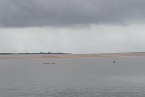 VÍDEO: Botos cinza são vistos nadando em rio no Litoral Norte da Paraíba