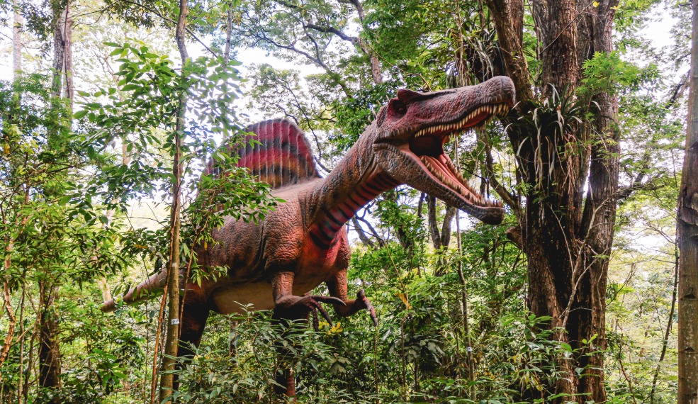 Parte do parque temática 'Terra dos Dinos', no Rio de Janeiro. Parque deve abrir filial na Paraíba. (foto: divulgação/Terra dos Dinos)