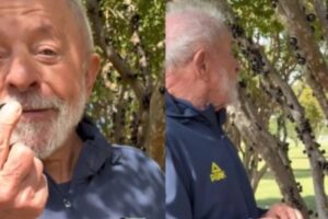 "Vou levar jabuticaba para você, Trump", brinca Lula após tarifa de 50% anunciada por presidente dos EUA "Vou levar jabuticaba para você, Trump", brinca Lula após tarifa de 50% anunciada por presidente dos EUA