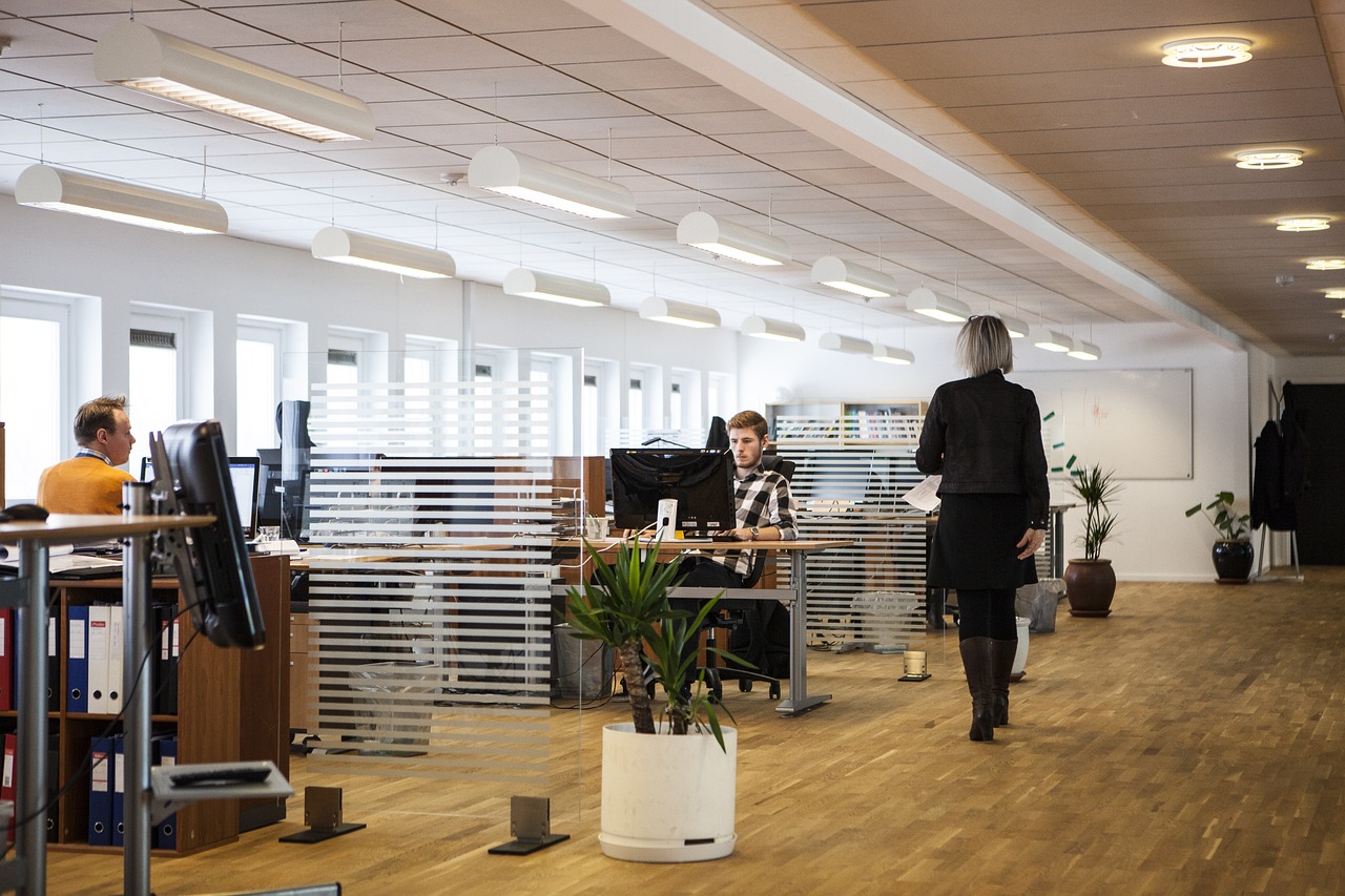 CIEE divulga nova lista com 103 vagas de estágio na Paraíba para níveis médio e superior empresa, escritório, trabalho, emprego