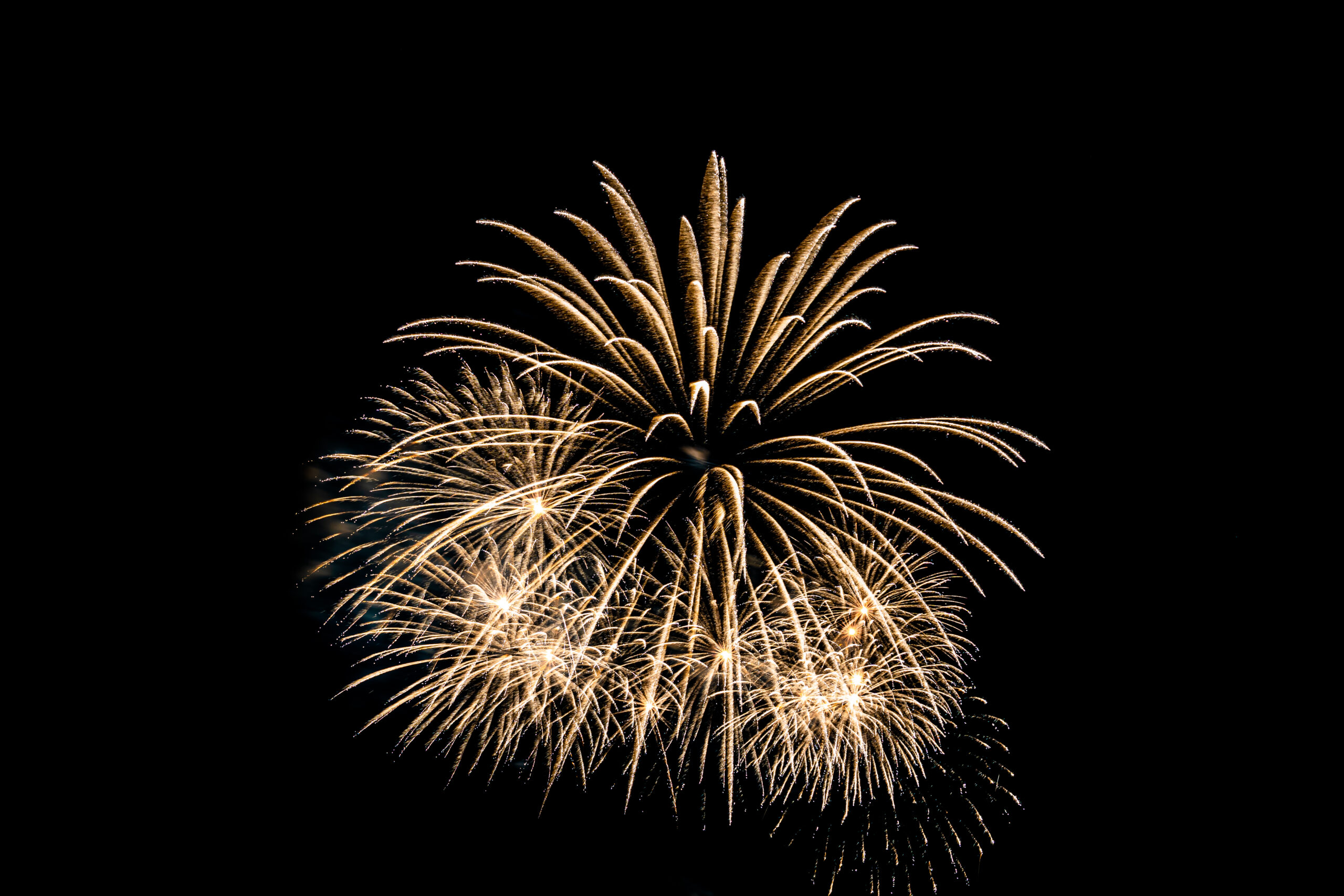 Fogos de artifício. Imagem ilustrativa. (foto: reprodução/freepik) 