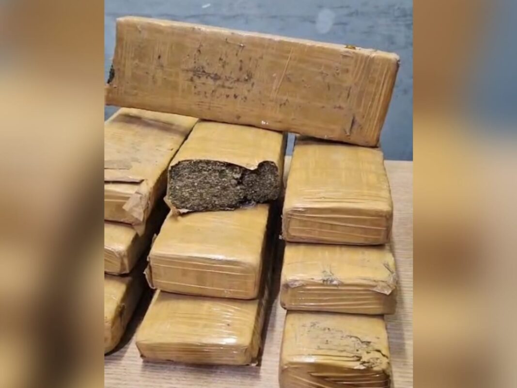 drogas, campina grande