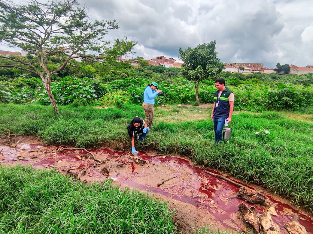 matadouro, sudema, fiscalização