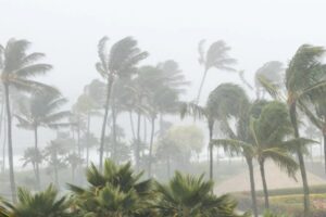 ciclone se forma e áreas entram em alerta para ventos de até 90km/h - Meteored