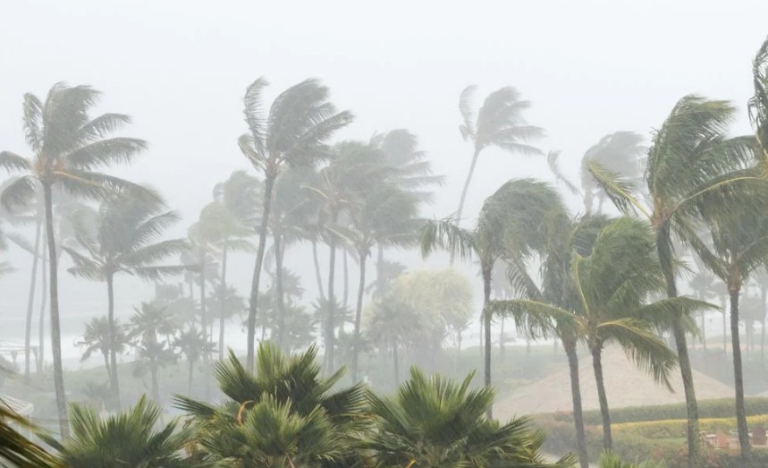 Ciclone se forma no Brasil e áreas entram em alerta para ventos de até 90km/h ciclone se forma e áreas entram em alerta para ventos de até 90km/h - Meteored