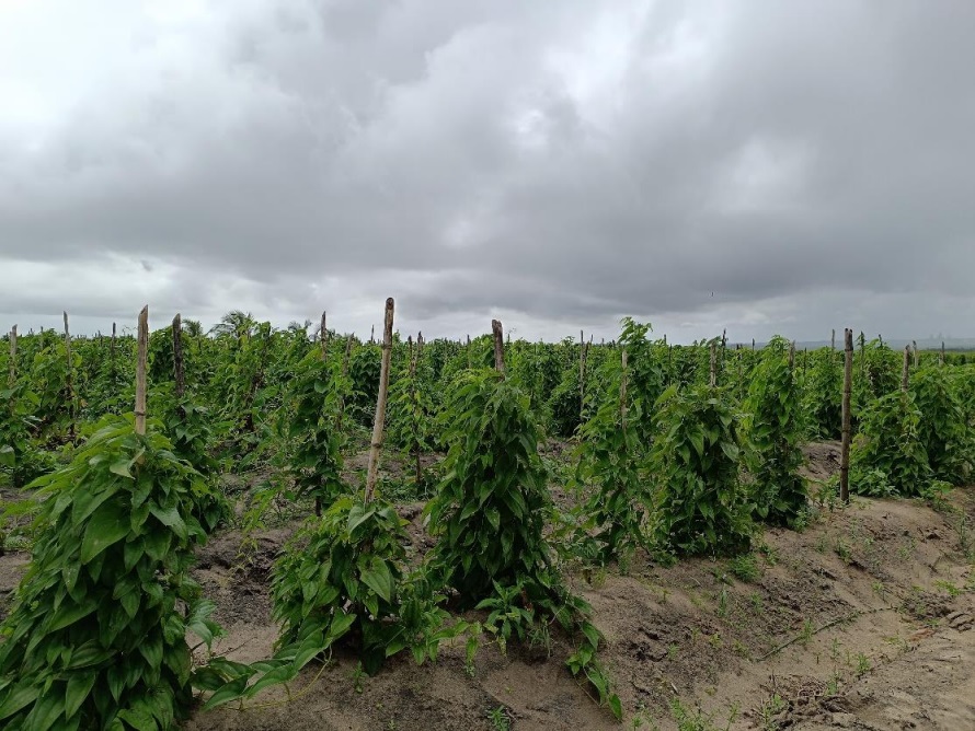 (foto: divulgação/assessoria Incra-PB)