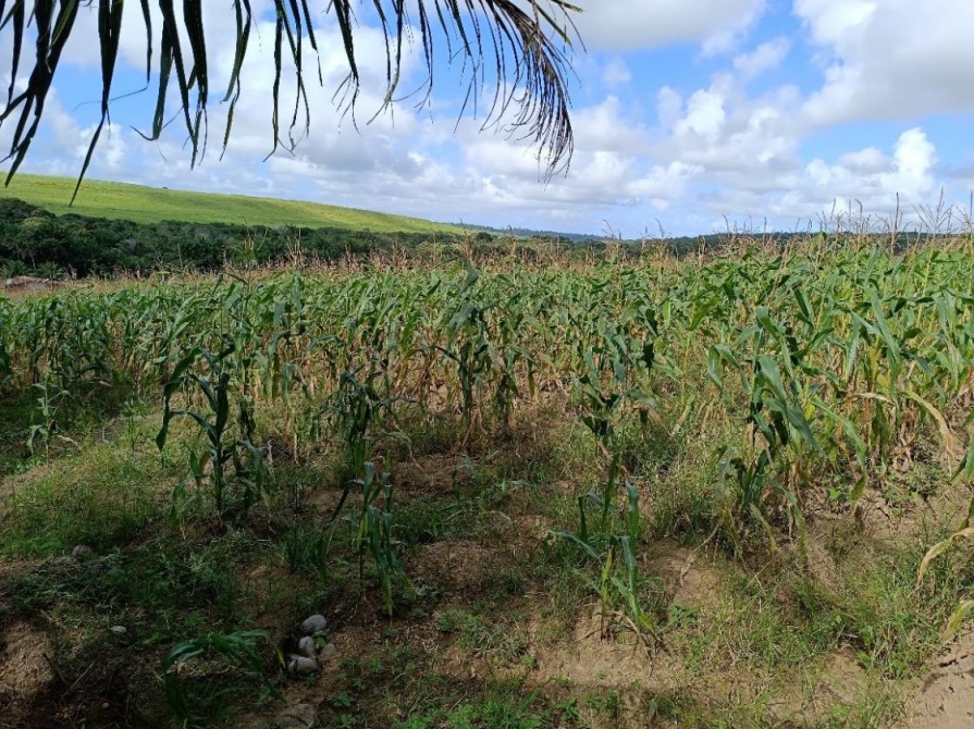 (foto: divulgação/assessoria Incra-PB)