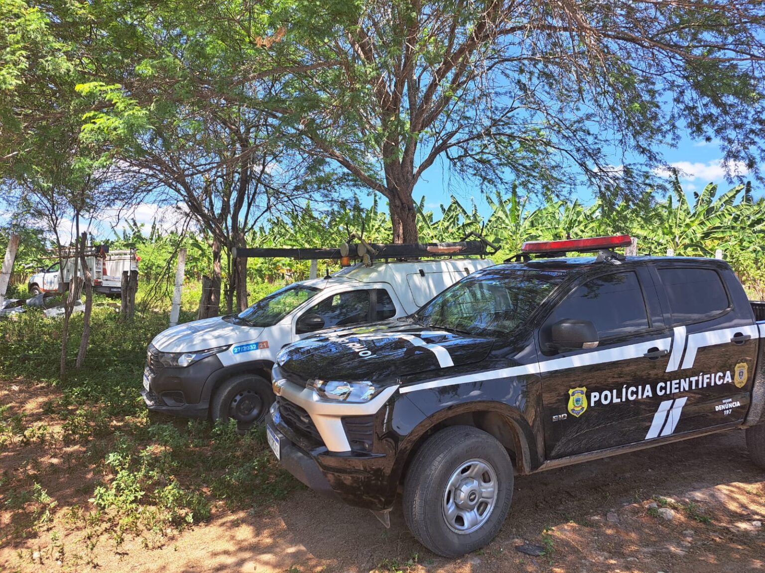 Operação contra furto de energia prende oito pessoas em Boqueirão