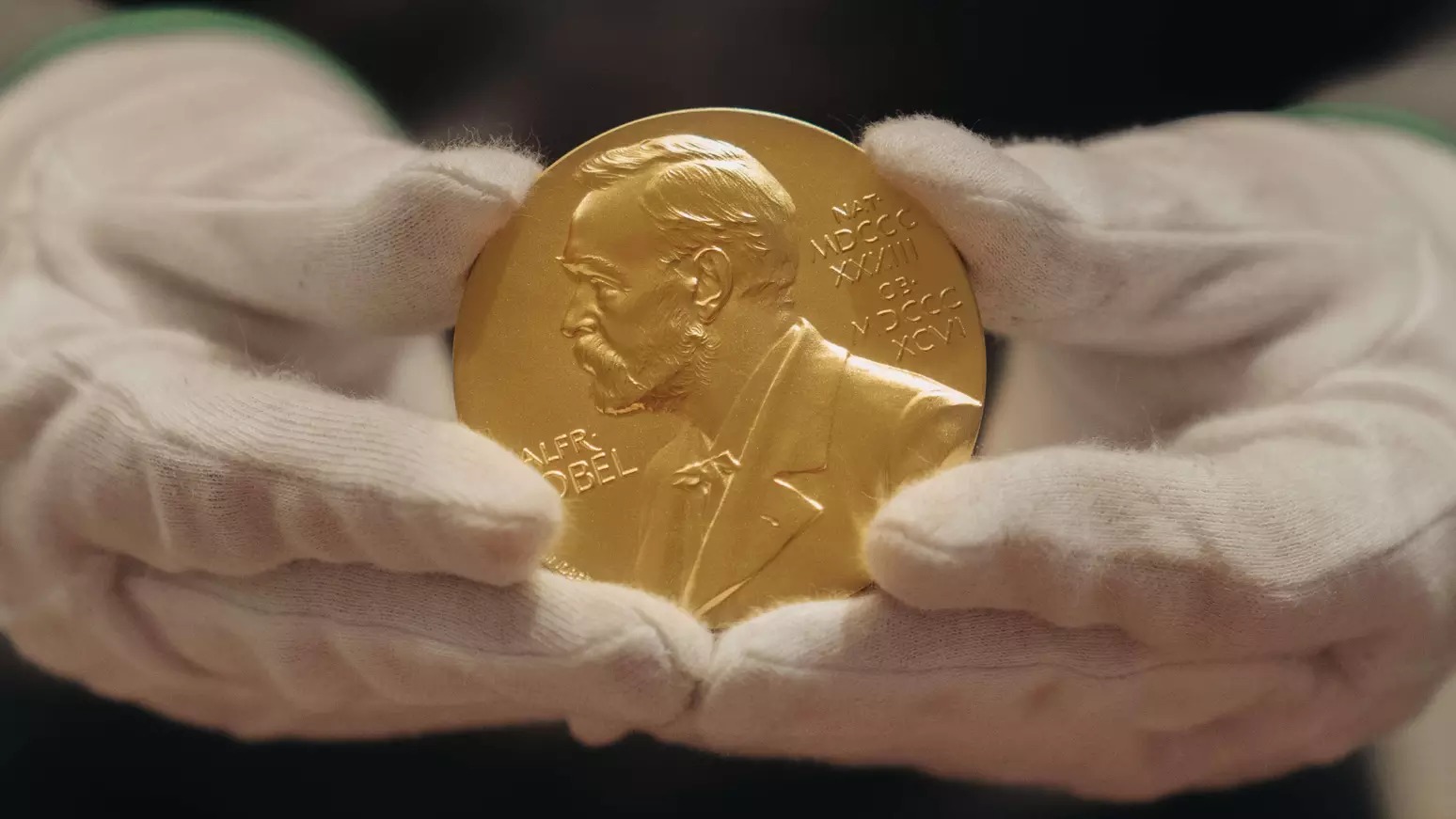 WhatsApp Image 2025 10 10 at 06.52.22