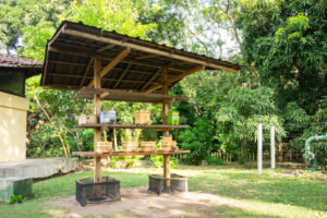 Bica e Jardim Botânico tem tetro, passeios e atividades educativas no Dia das Crianças