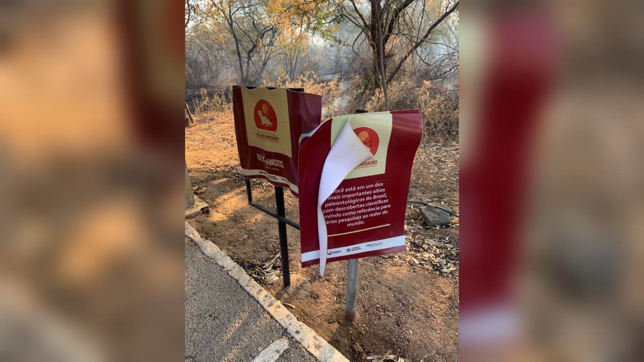 Vale dos Dinossauros tem visitações suspensas. (foto: reprodução/Sudema)