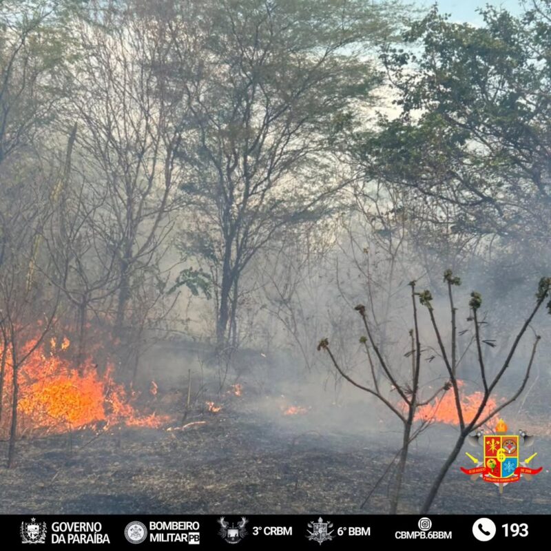 Inc�ndio no Vale dos Dinoussauros, em outubro de 2025. (foto: divulga��o/cbmpb.6bbm)