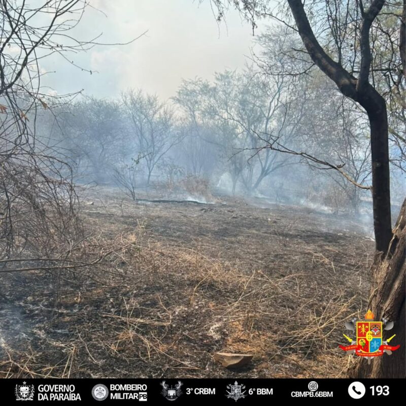 Inc�ndio no Vale dos Dinoussauros, em outubro de 2025. (foto: divulga��o/cbmpb.6bbm)