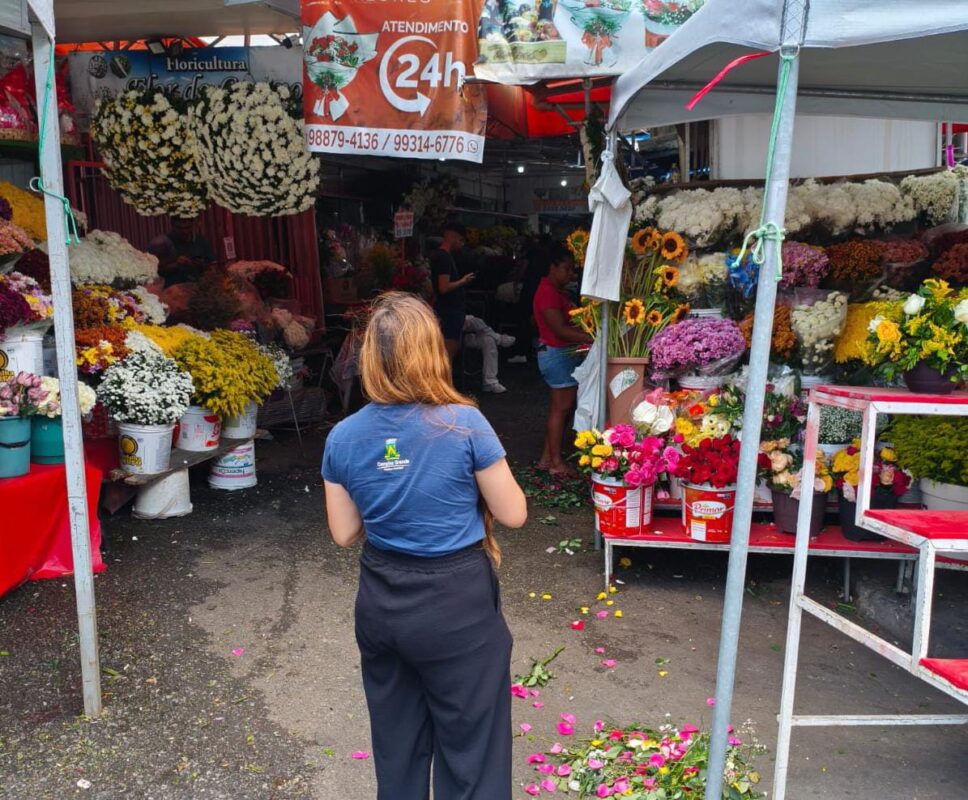 Preços de flores e velas variam até 213% em Campina Grande, aponta pesquisa do Procon Municipal Preços de flores e velas variam até 213% em Campina Grande, aponta pesquisa do Procon Municipal